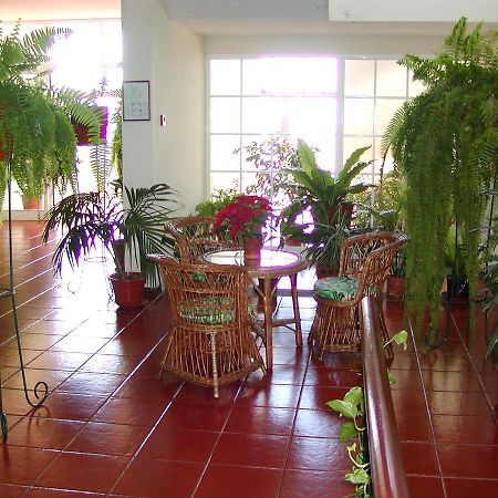 Vila Marta Funchal Dış mekan fotoğraf