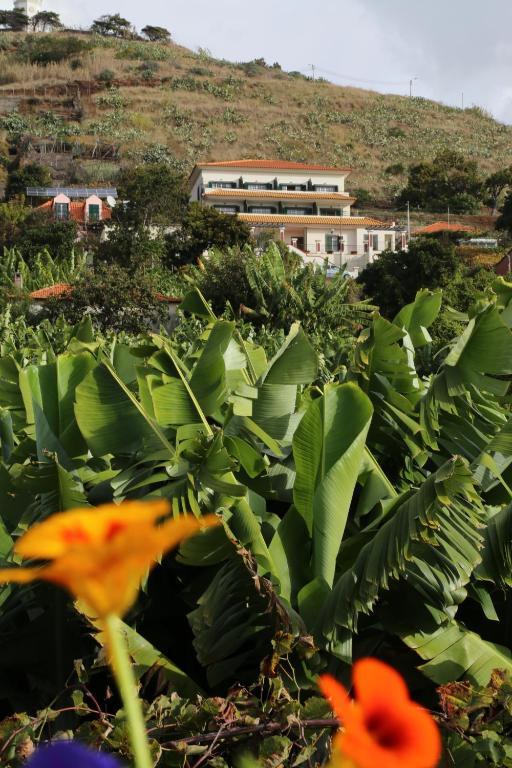 Vila Marta Funchal Dış mekan fotoğraf