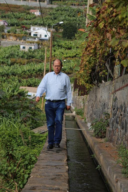 Vila Marta Funchal Dış mekan fotoğraf