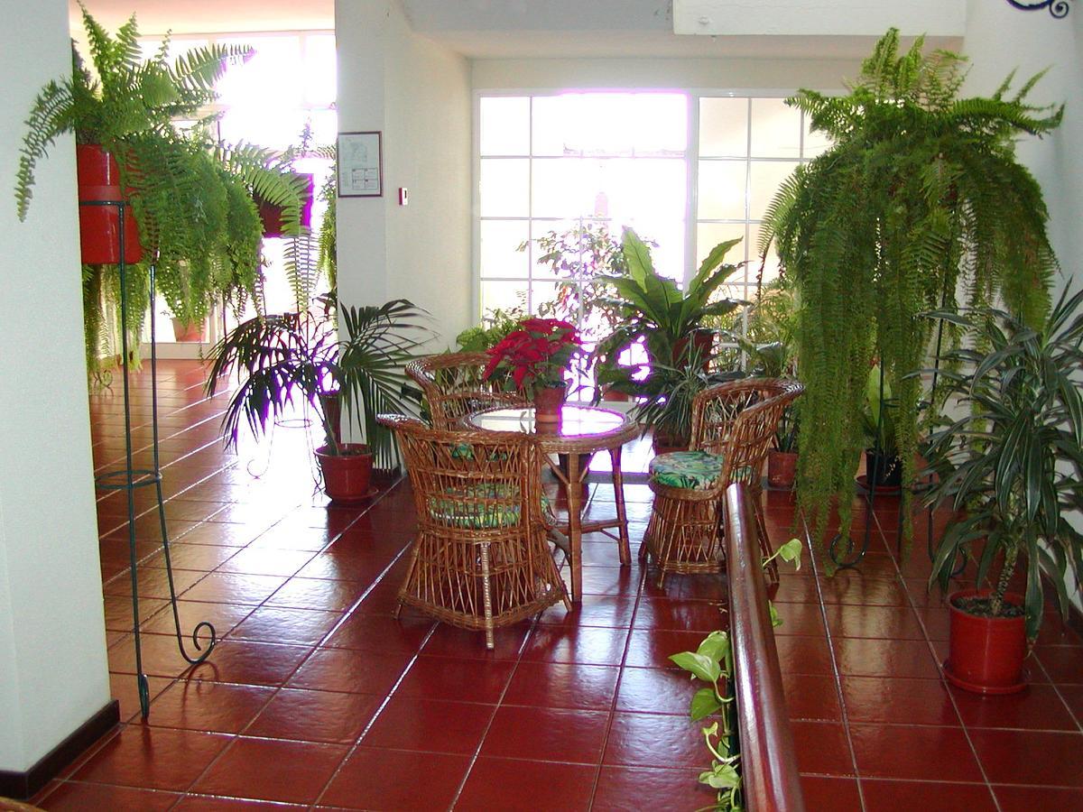 Vila Marta Funchal Dış mekan fotoğraf