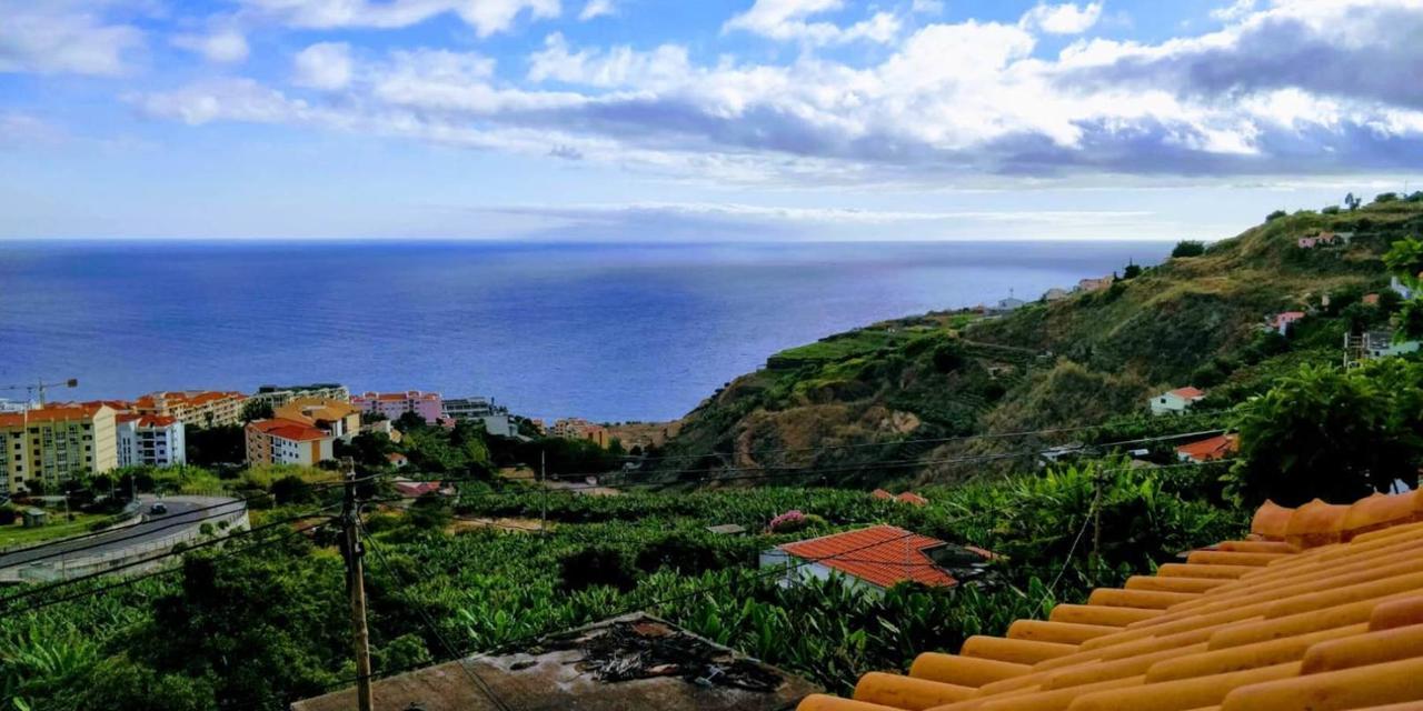 Vila Marta Funchal Dış mekan fotoğraf