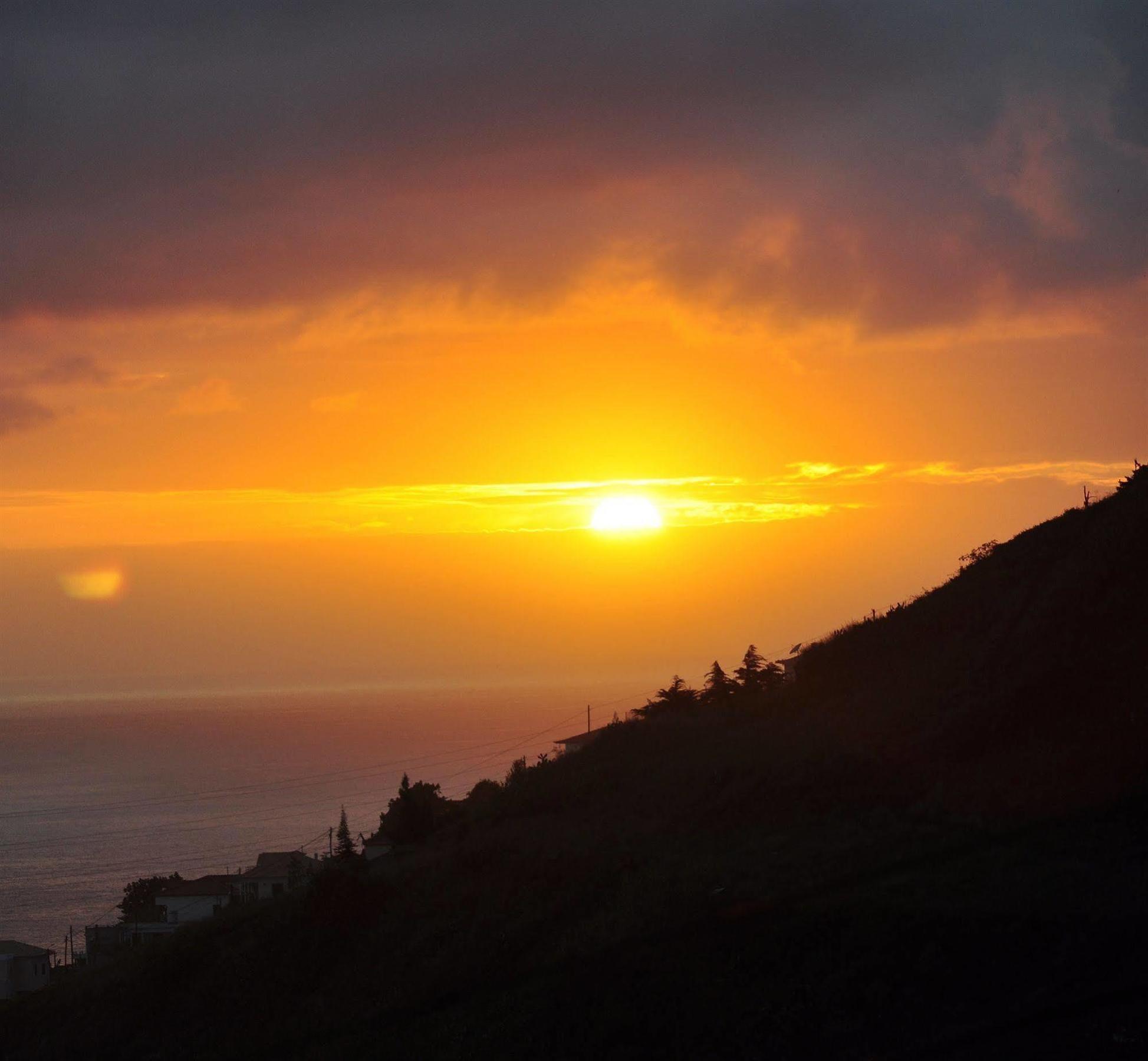 Vila Marta Funchal Dış mekan fotoğraf