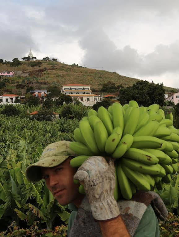 Vila Marta Funchal Dış mekan fotoğraf